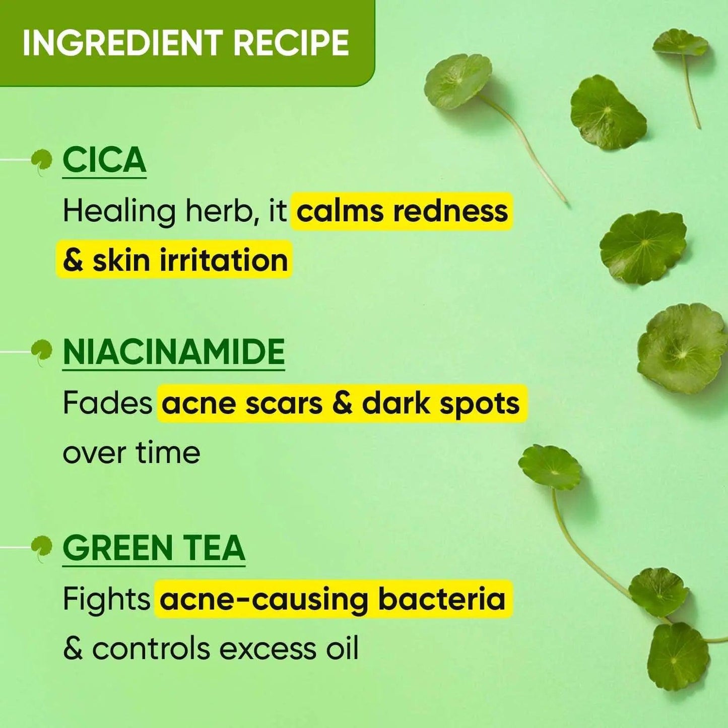 Dot & Key Cica Calming Toner ingredients: Cica for redness, Niacinamide for scars, Green Tea for acne; suitable for oily skin.